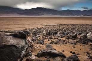 Death Valley-0313